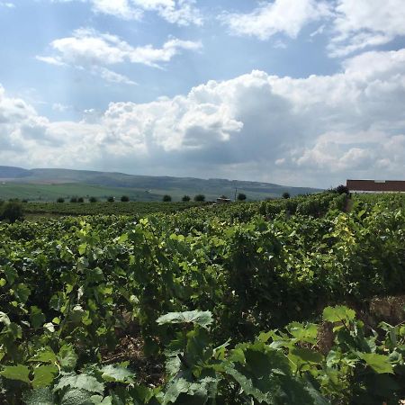 Wineyards Salin Bed & Breakfast Турда Екстериор снимка