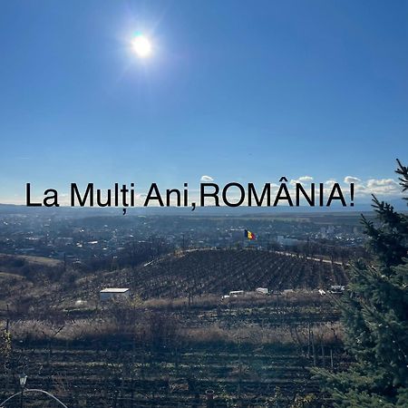 Wineyards Salin Bed & Breakfast Турда Екстериор снимка