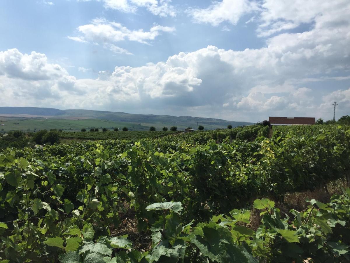 Wineyards Salin Bed & Breakfast Турда Екстериор снимка