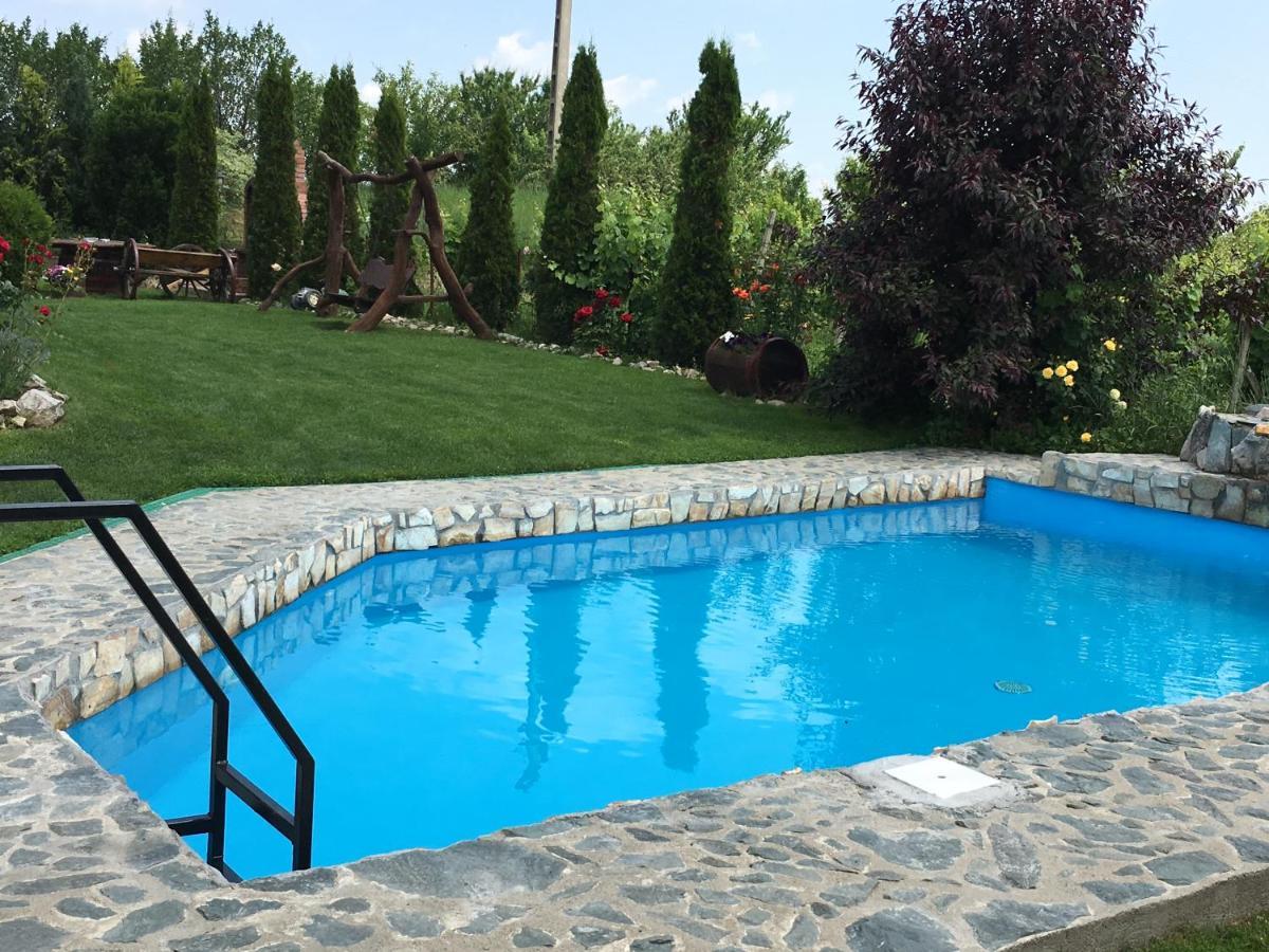 Wineyards Salin Bed & Breakfast Турда Екстериор снимка