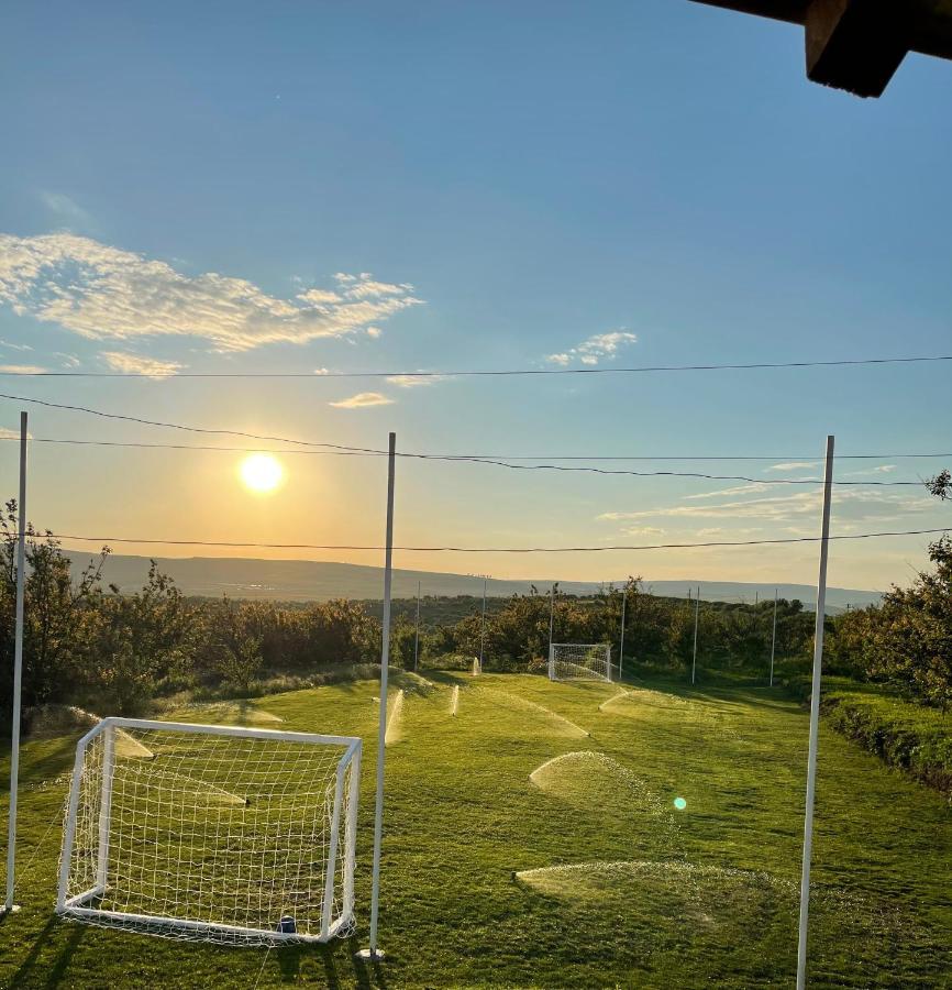 Wineyards Salin Bed & Breakfast Турда Екстериор снимка