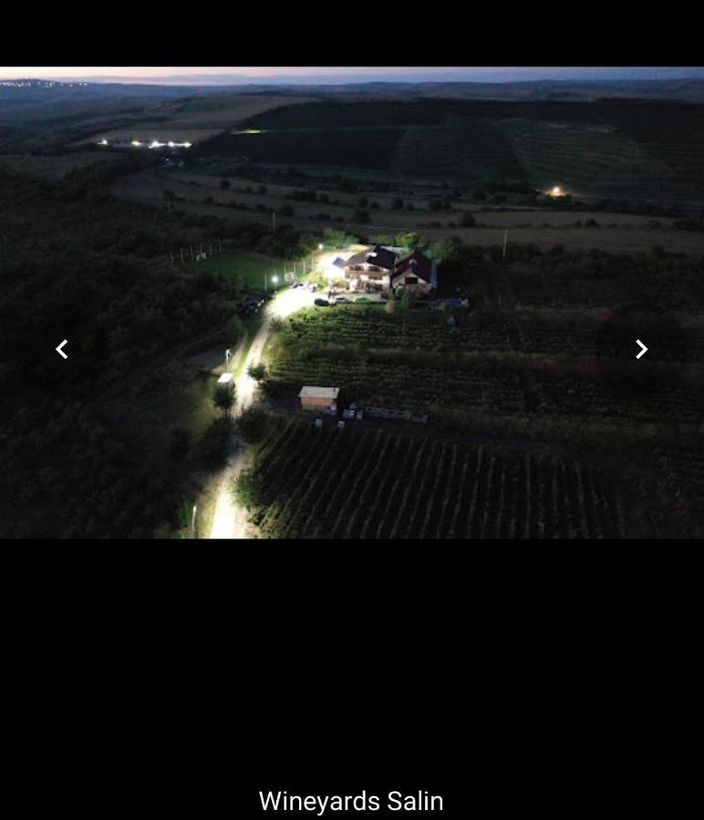 Wineyards Salin Bed & Breakfast Турда Екстериор снимка