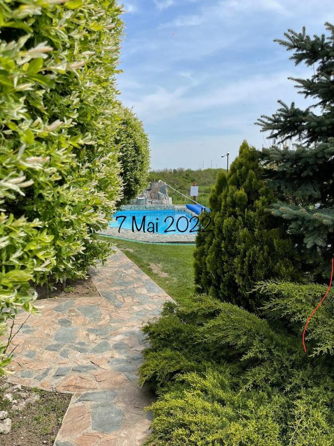 Wineyards Salin Bed & Breakfast Турда Екстериор снимка