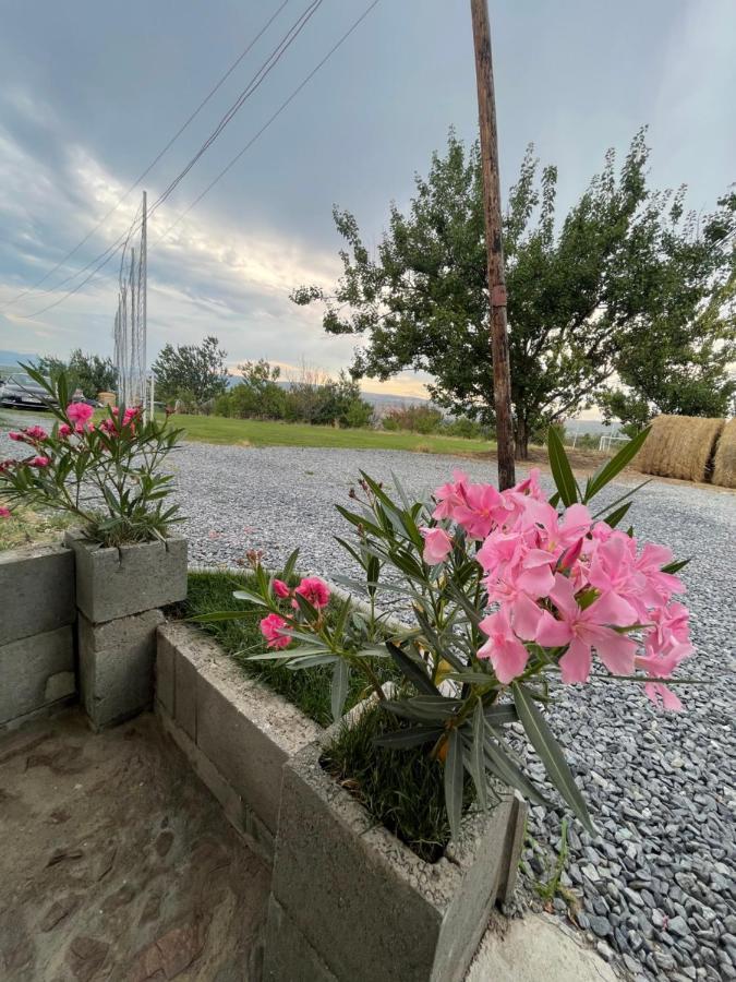 Wineyards Salin Bed & Breakfast Турда Екстериор снимка