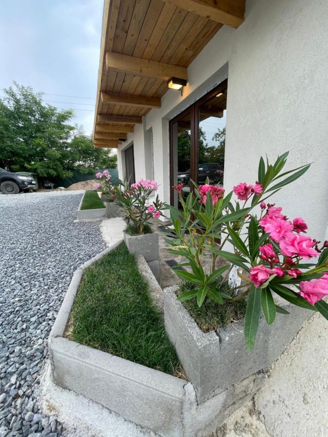 Wineyards Salin Bed & Breakfast Турда Екстериор снимка