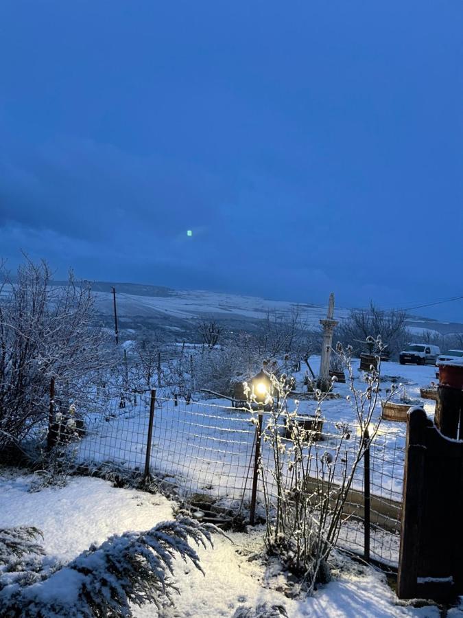 Wineyards Salin Bed & Breakfast Турда Екстериор снимка