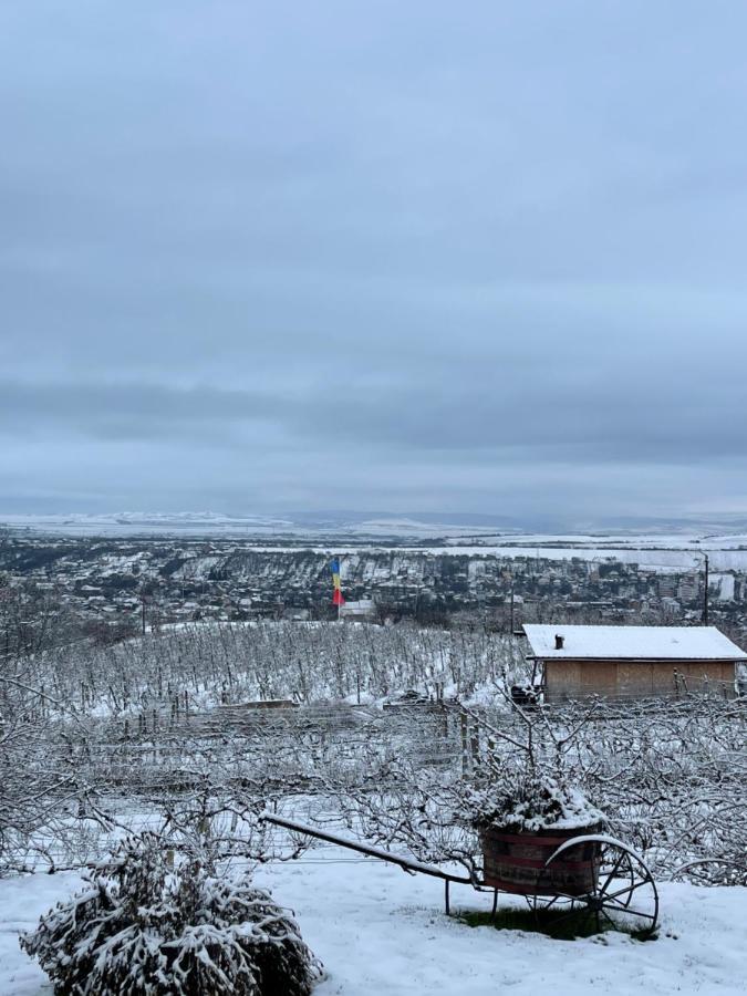 Wineyards Salin Bed & Breakfast Турда Екстериор снимка