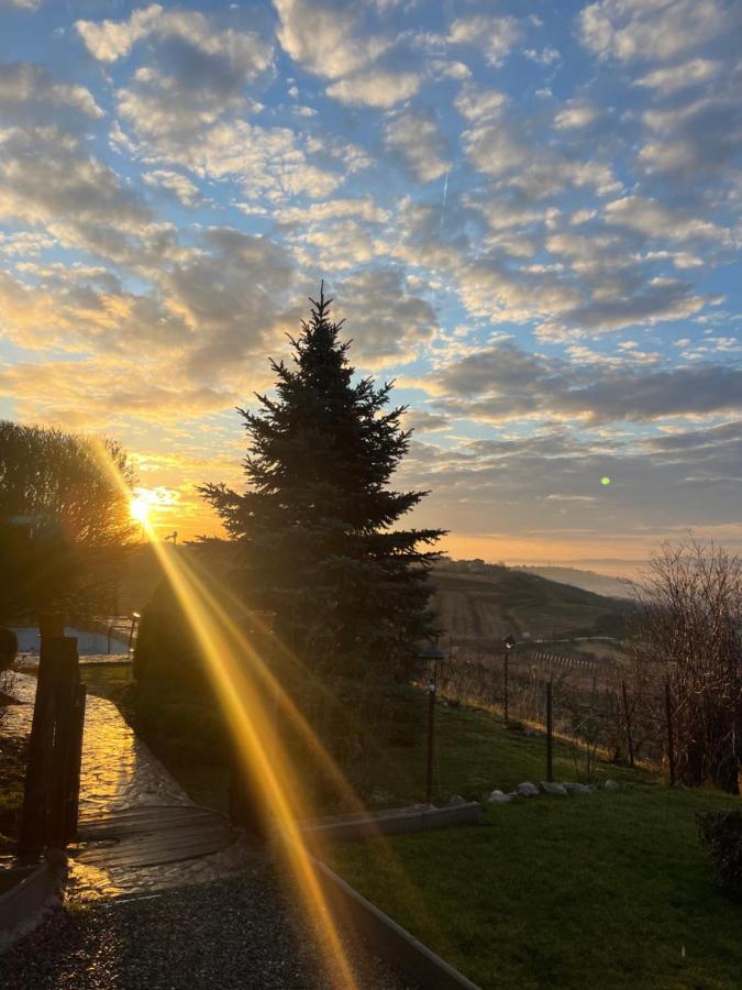 Wineyards Salin Bed & Breakfast Турда Екстериор снимка
