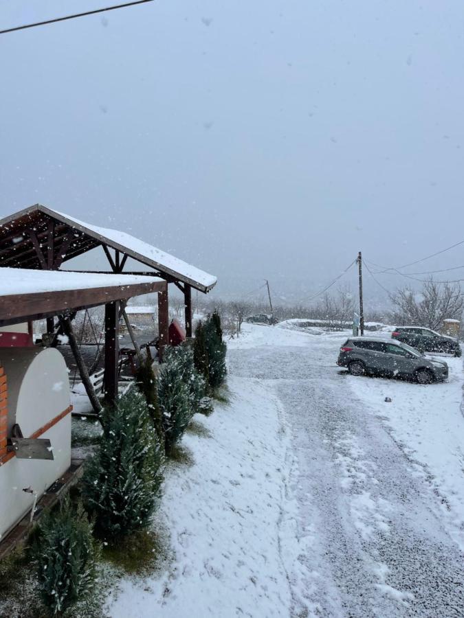 Wineyards Salin Bed & Breakfast Турда Екстериор снимка