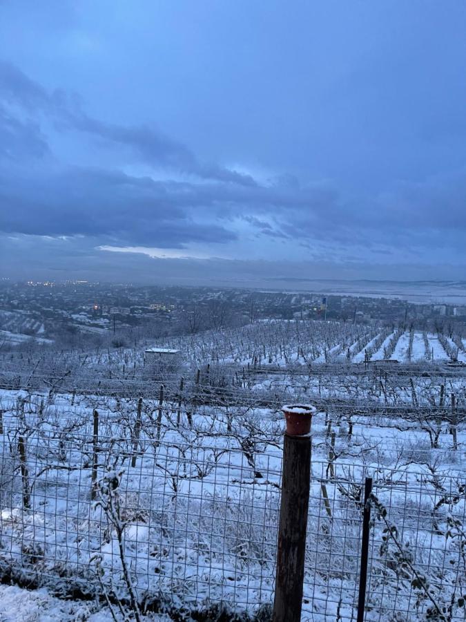 Wineyards Salin Bed & Breakfast Турда Екстериор снимка