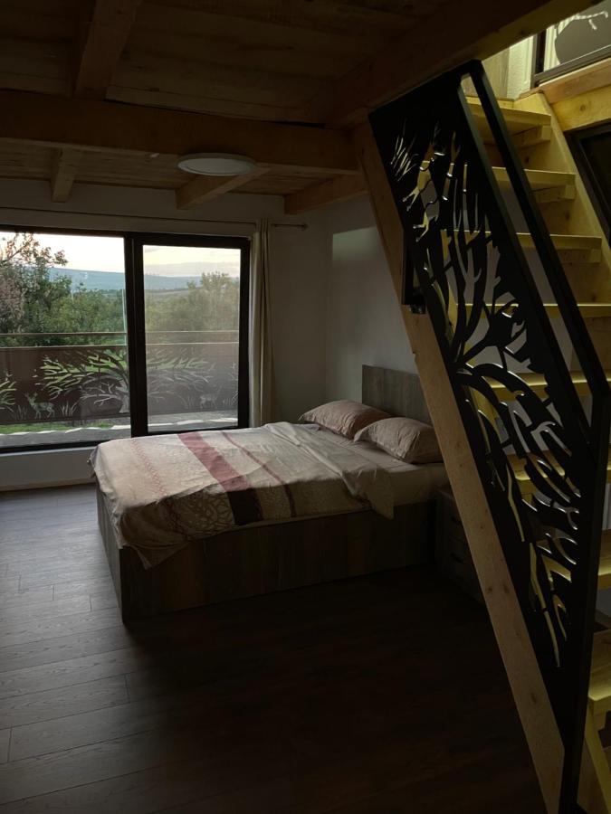 Wineyards Salin Bed & Breakfast Турда Екстериор снимка