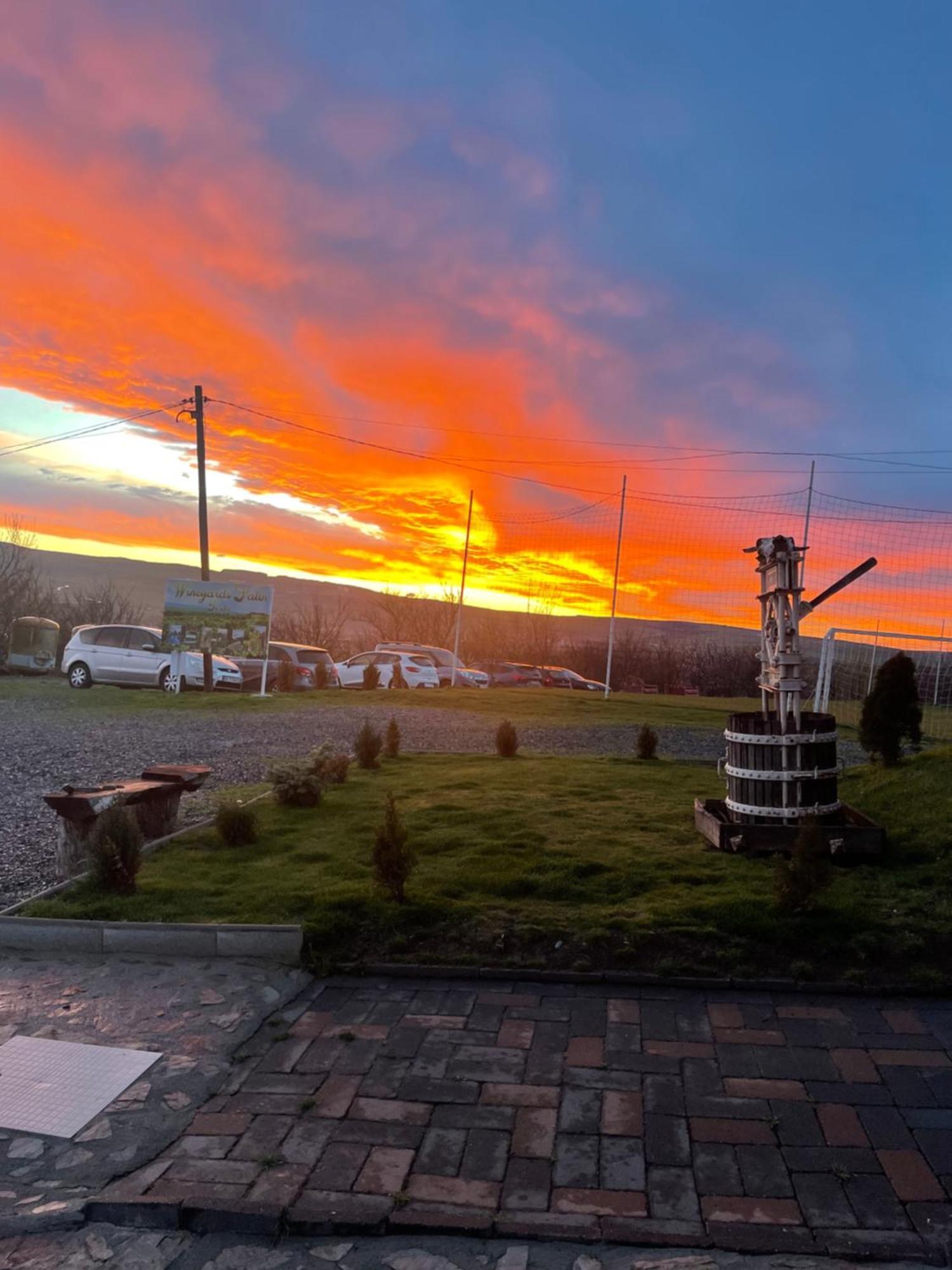 Wineyards Salin Bed & Breakfast Турда Екстериор снимка