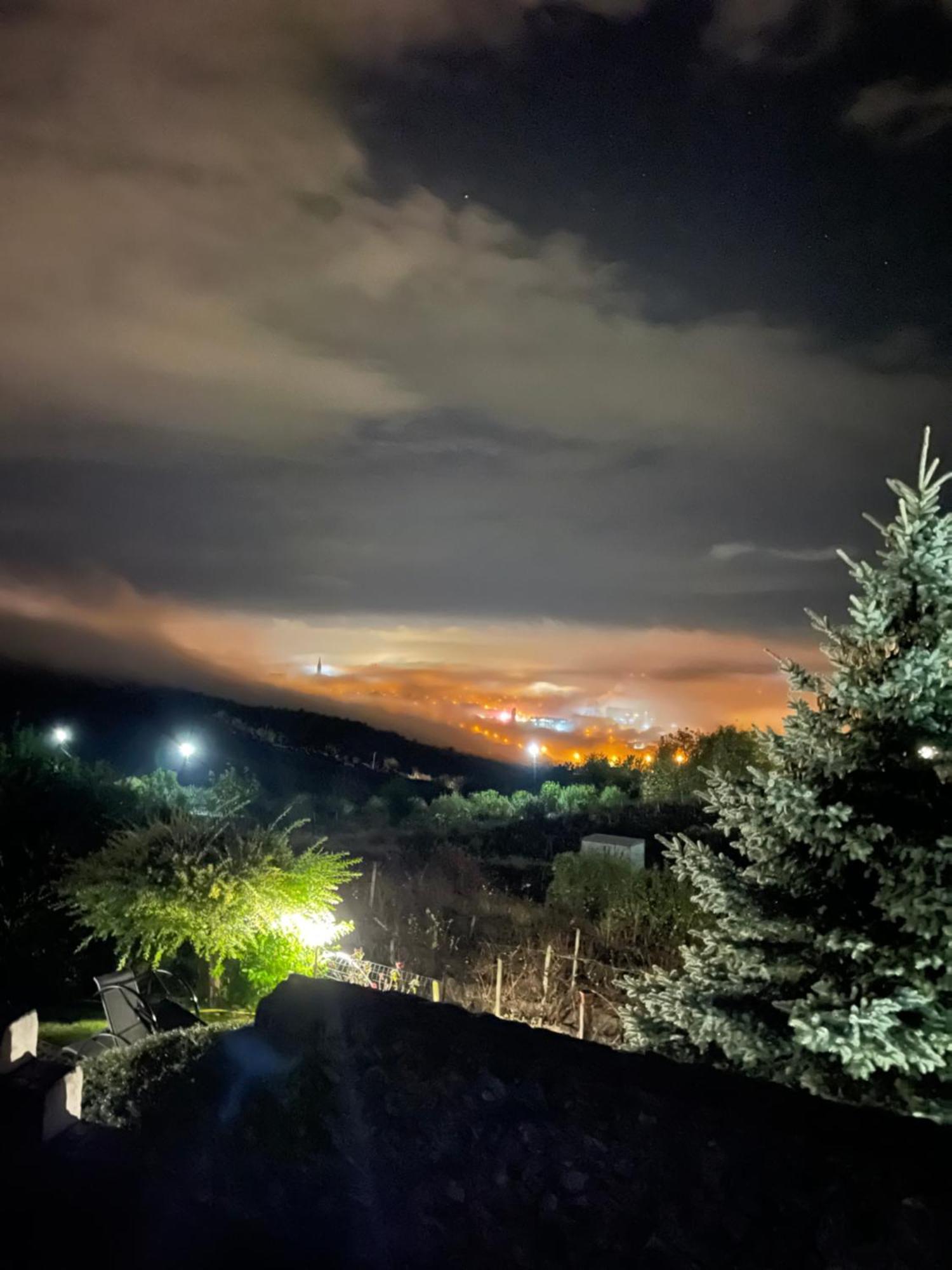 Wineyards Salin Bed & Breakfast Турда Екстериор снимка