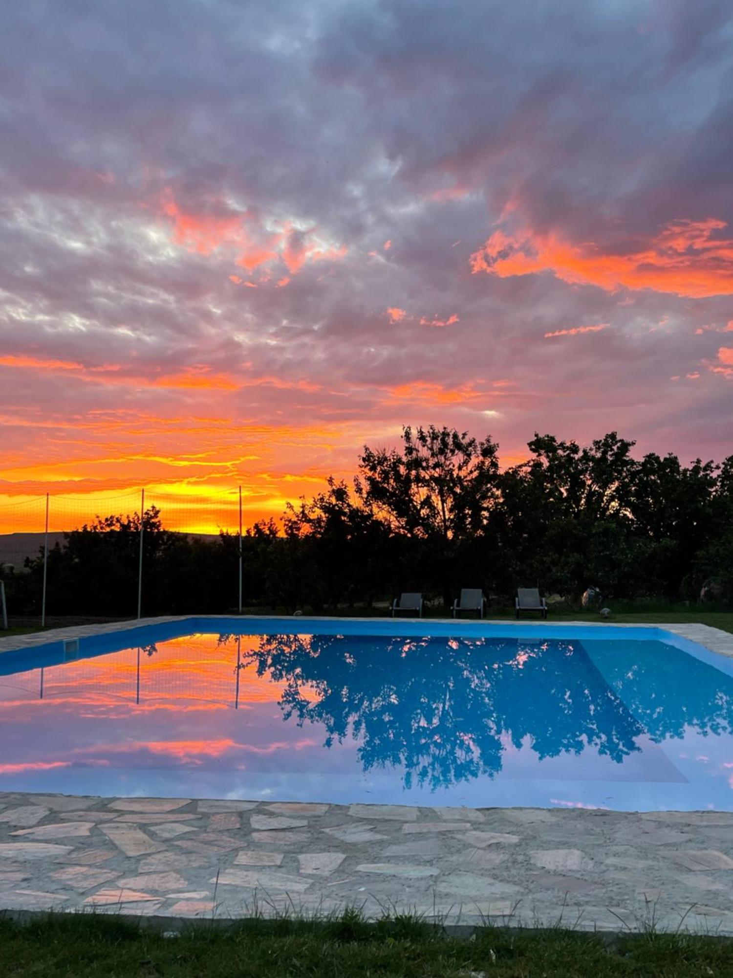 Wineyards Salin Bed & Breakfast Турда Екстериор снимка