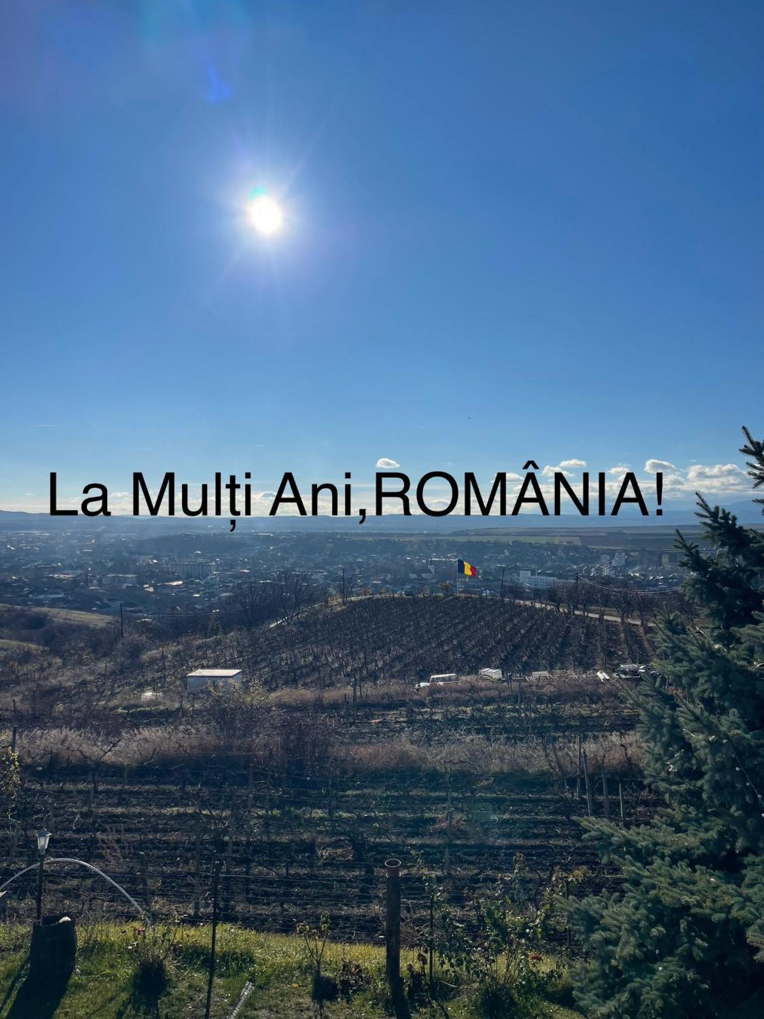 Wineyards Salin Bed & Breakfast Турда Екстериор снимка